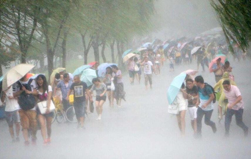 台风来了作文600字