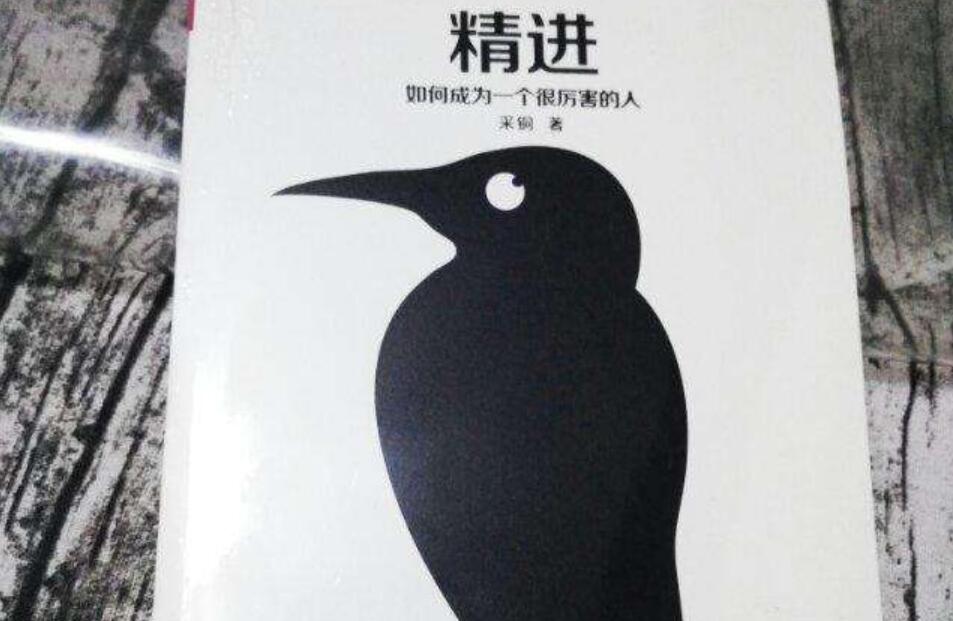 《精进》书籍.jpg