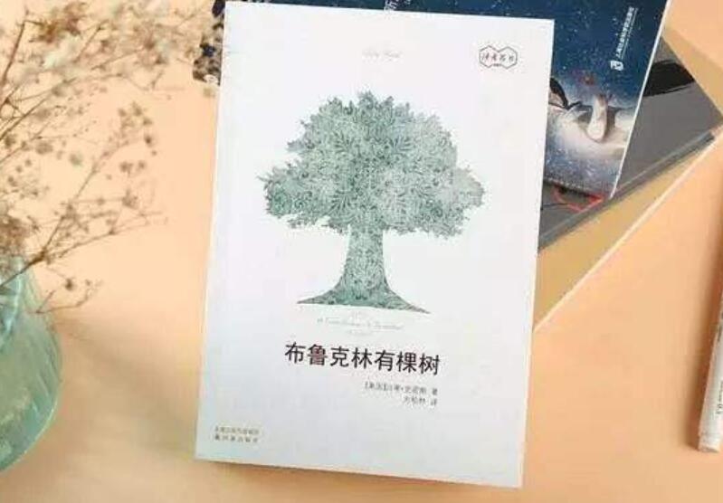 《布鲁克林有棵树》书籍.jpg 《布鲁克林有棵树》书籍.jpg