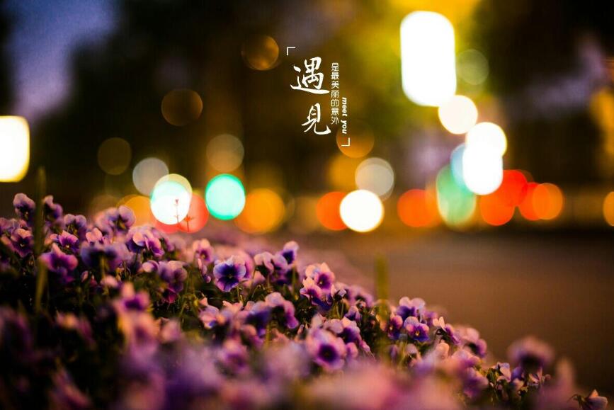 遇见你真好作文700字