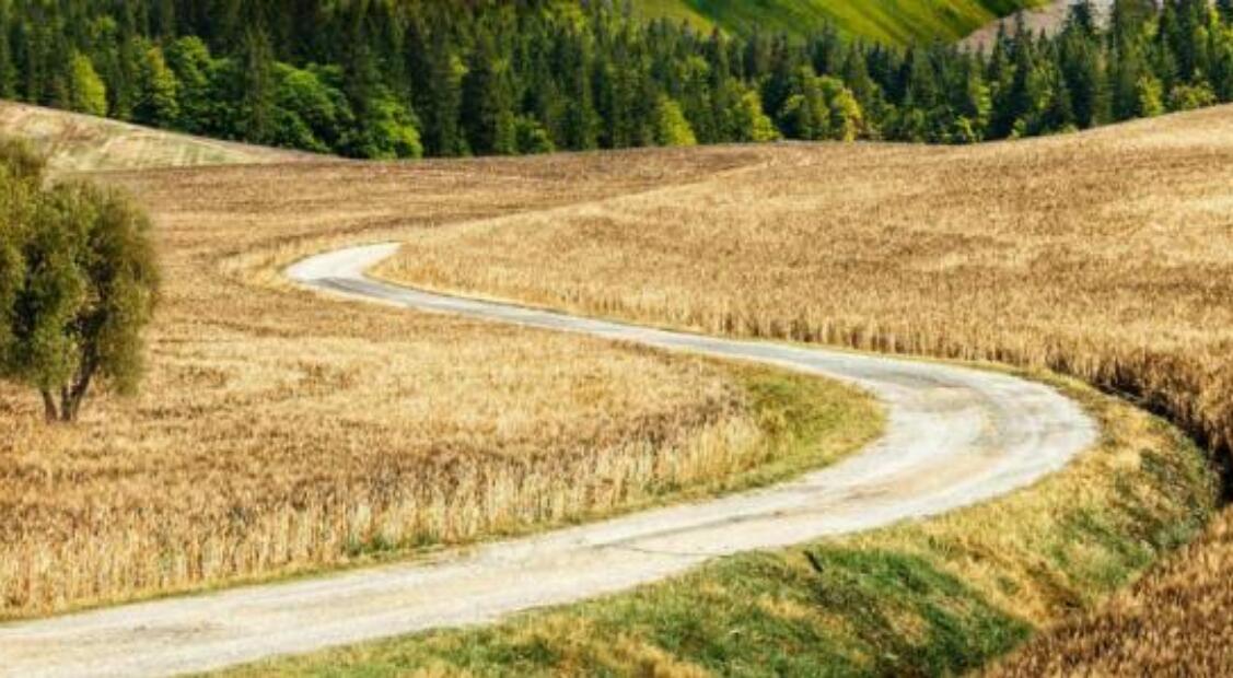 故乡的路作文600字