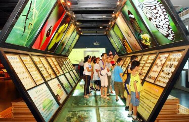 参观科技馆.jpg 参观科技馆.jpg