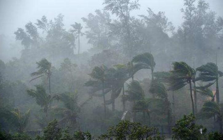 风雨交加作文500字