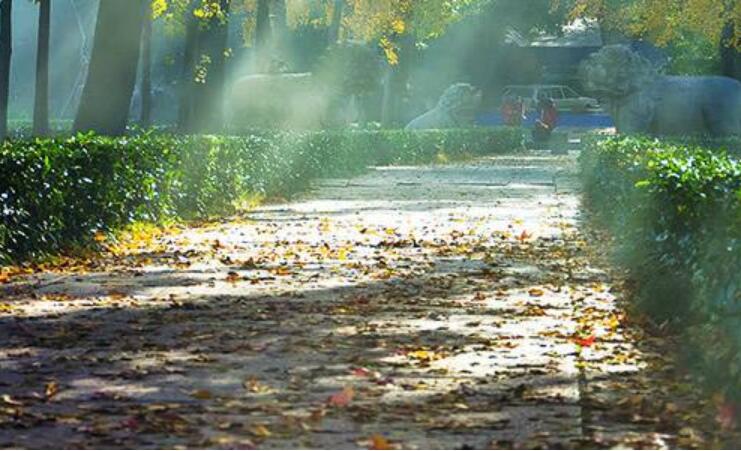 成长路上的阳光作文700字