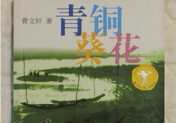 《青铜葵花》读后感1000字