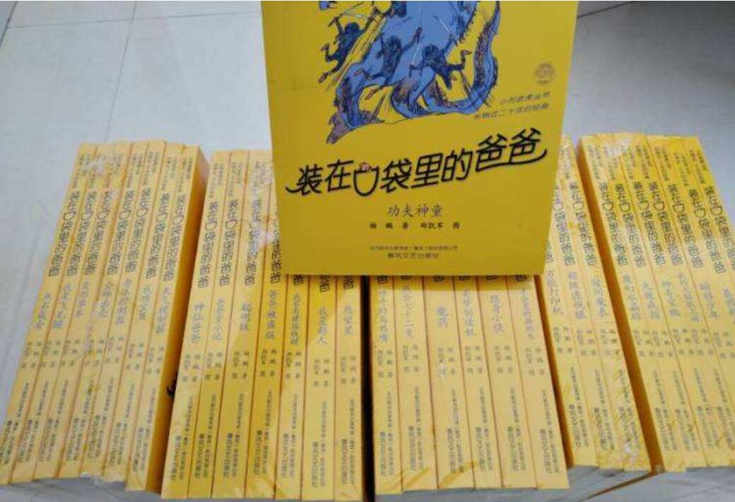 《装在口袋里的爸爸》读后感600字