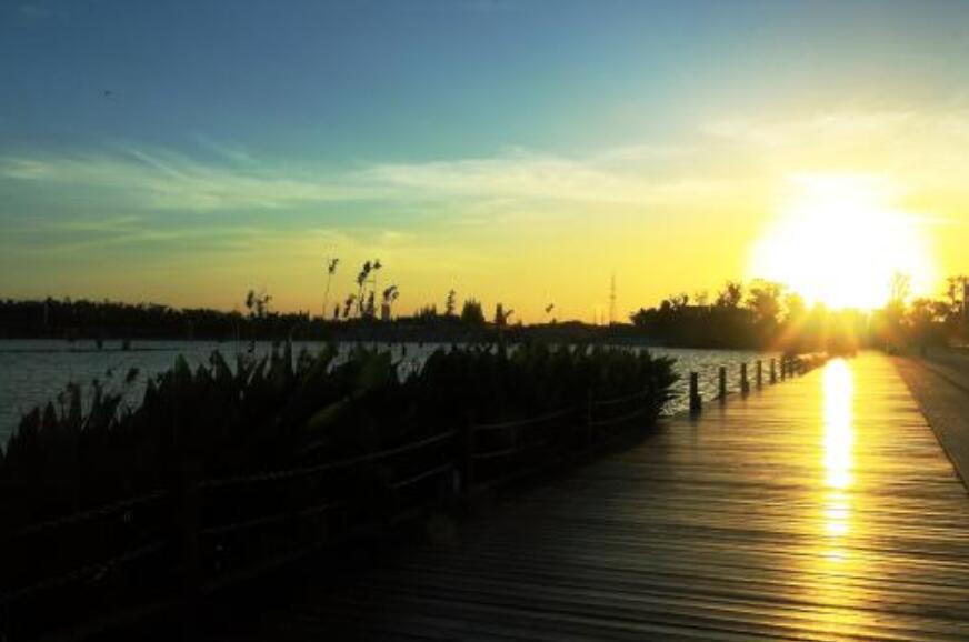 夏天傍晚的景色作文500字