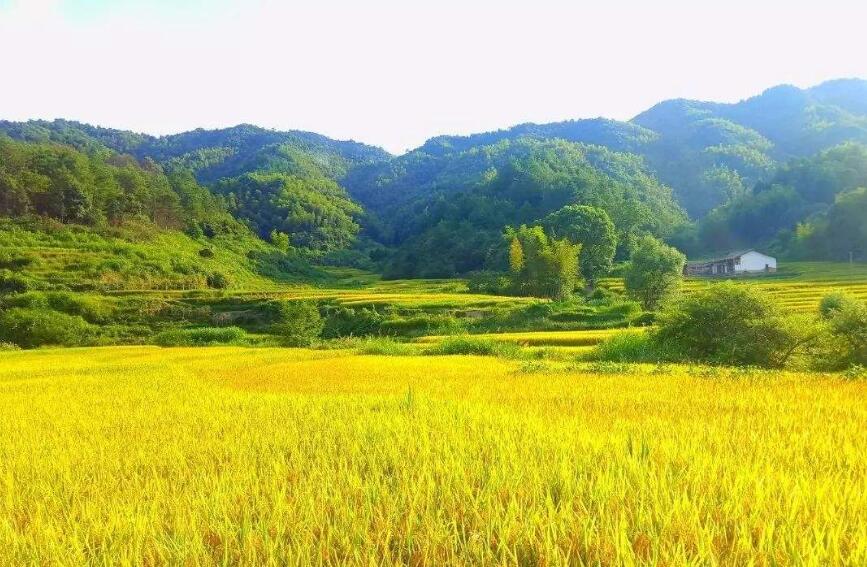 四年级上册作文推荐一个好地方300字