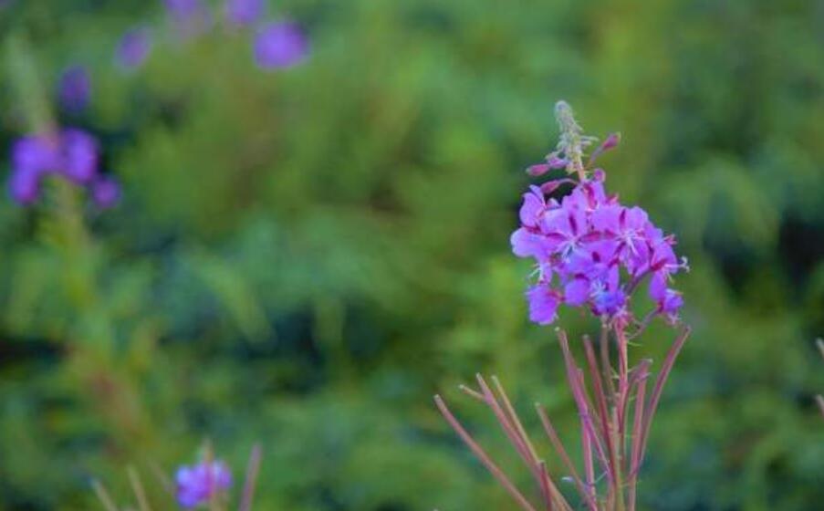 藏在心底的什么作文800字