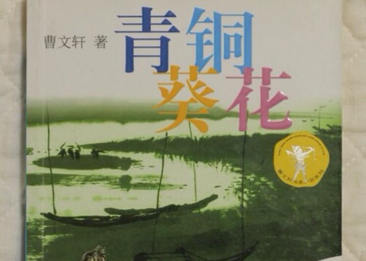 青铜葵花读后感500字