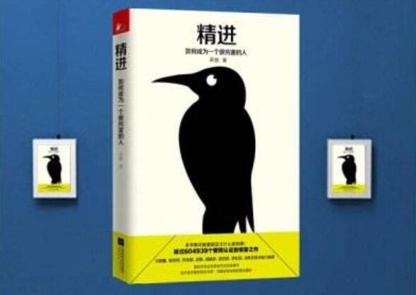 《精进》书籍.jpg