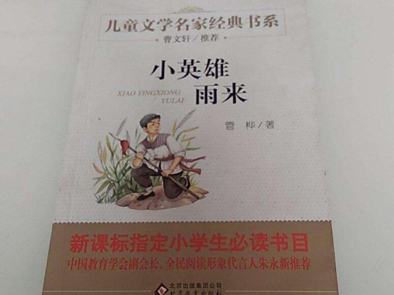 《小英雄雨来》读后感500字