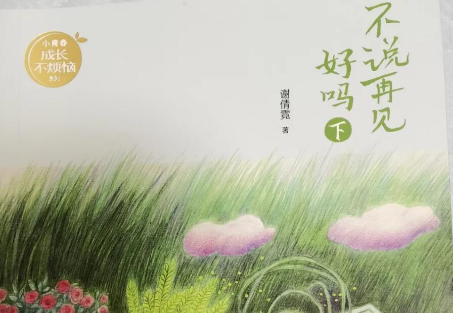 《不说再见好吗》读后感600字