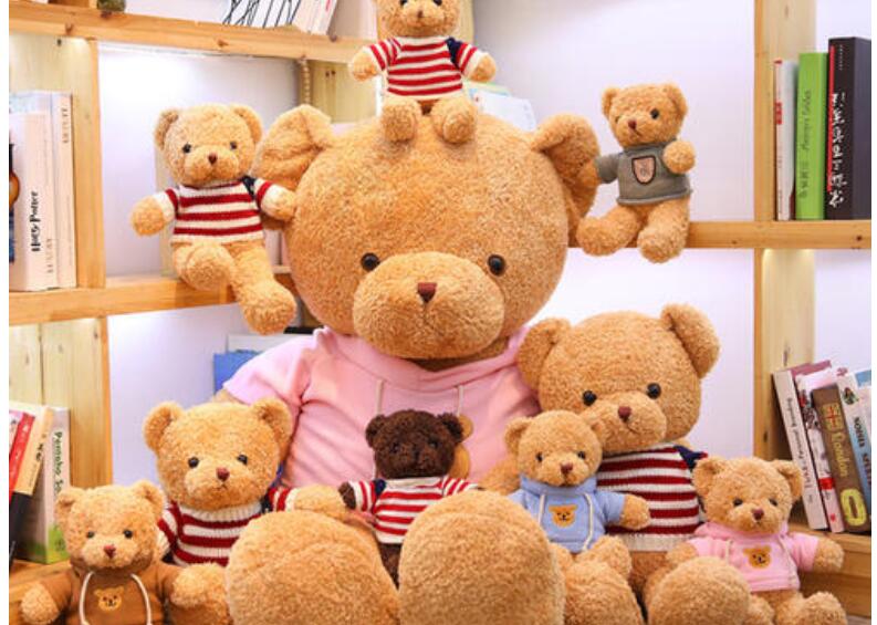 我的心爱之物作文450字