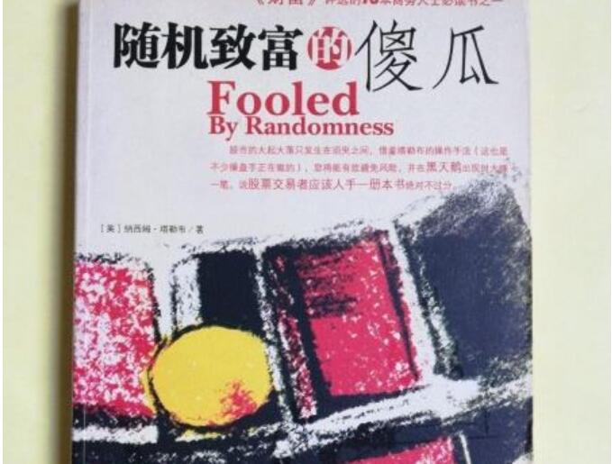 《随机致富的傻瓜》读后感1000字