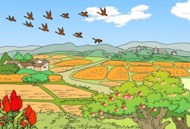 秋天来了作文400字