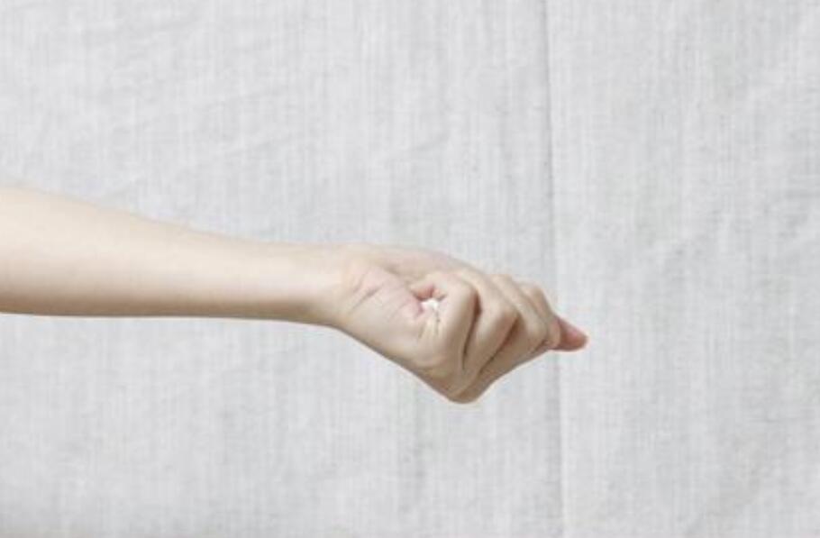 手的魔力作文300字