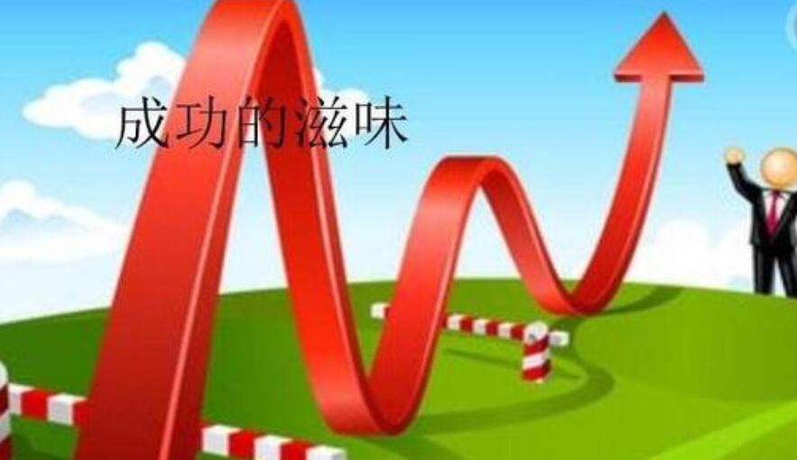 成功的滋味作文450字