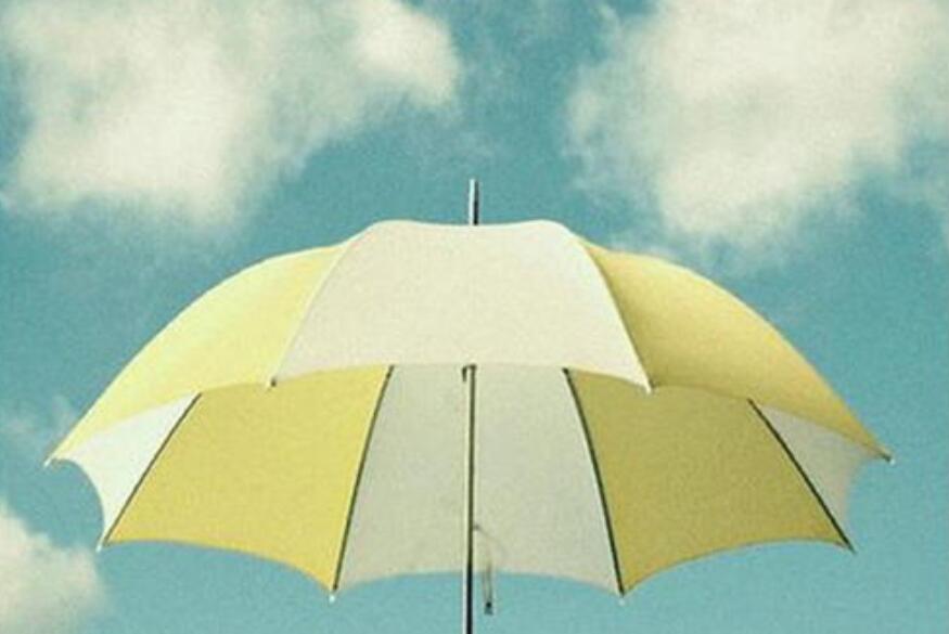 不要放弃作文800字记叙文