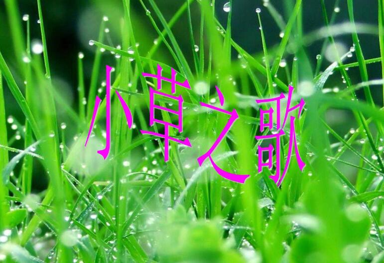 草之歌.jpg 草之歌.jpg