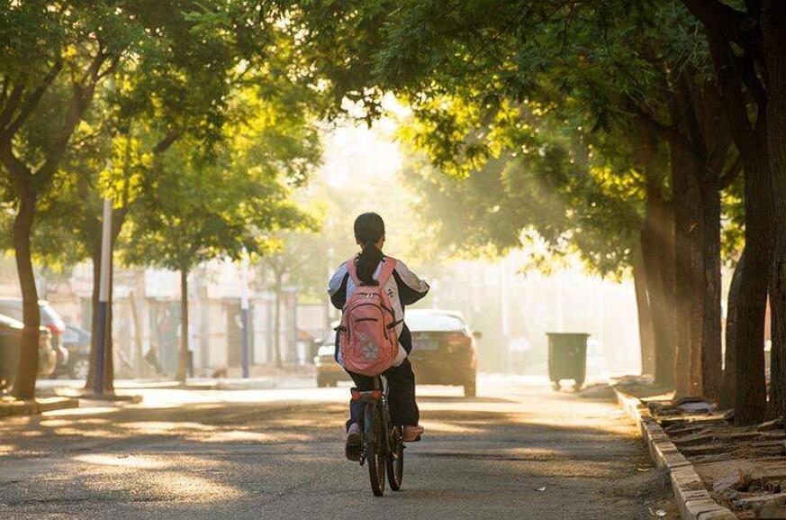 上学路上的美丽的景色300字