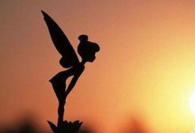 不后悔作文600字初三