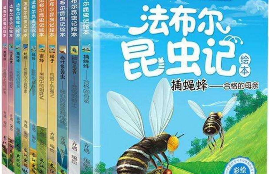 读《昆虫记》有感500字作文