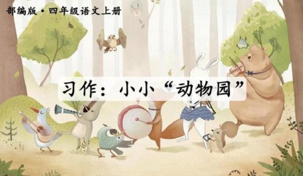 小小动物园作文500字
