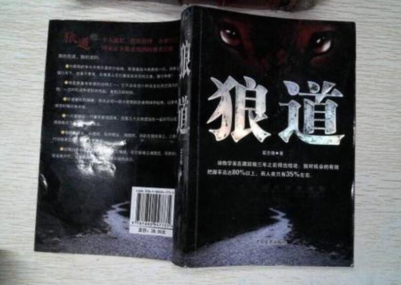 狼道读后感800字