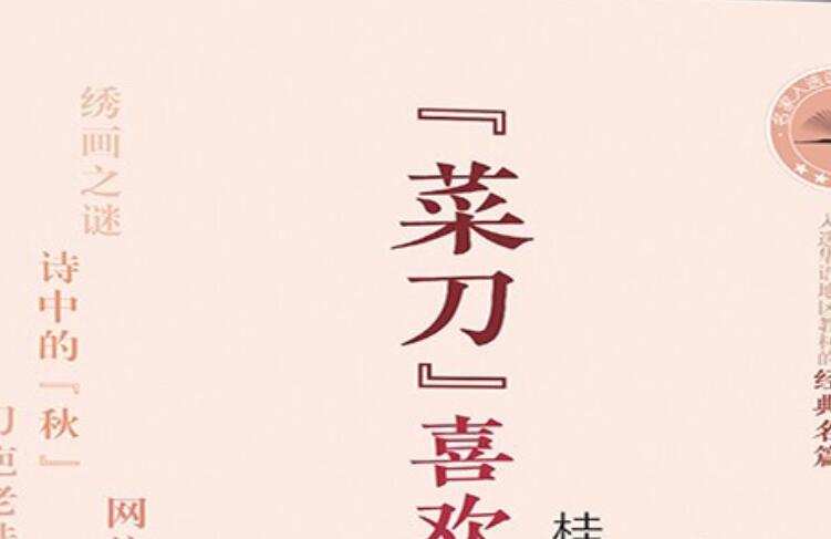 《菜刀喜欢你》读后感1000字