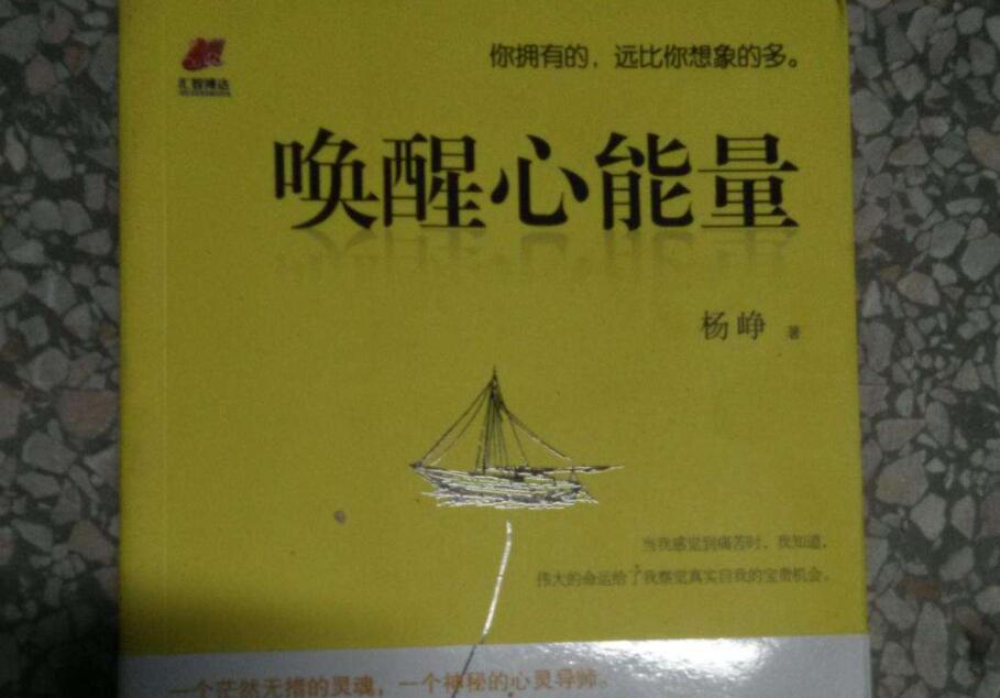 《唤醒心能量》读后感400字