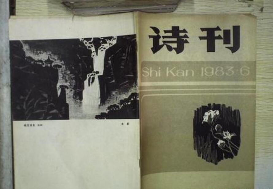《诗刊》读后感2000字