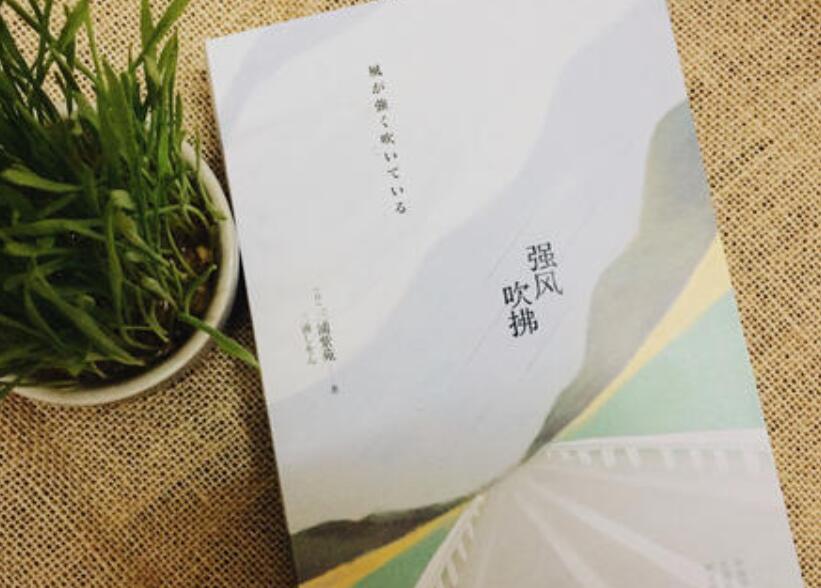 《强风吹拂》读后感1000字