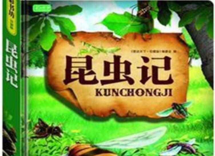 昆虫记读后感1000字_奇妙的昆虫世界作文