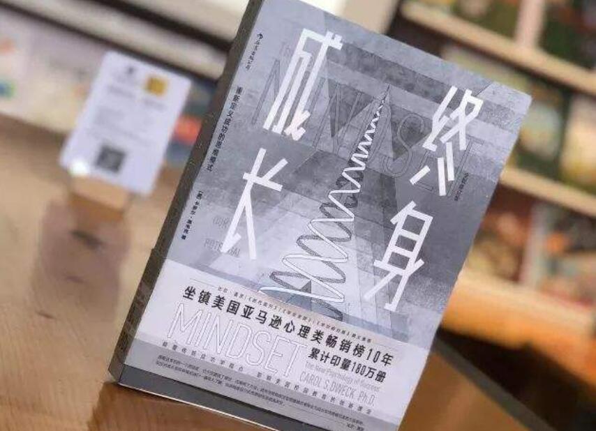 《终身成长》读后感800字