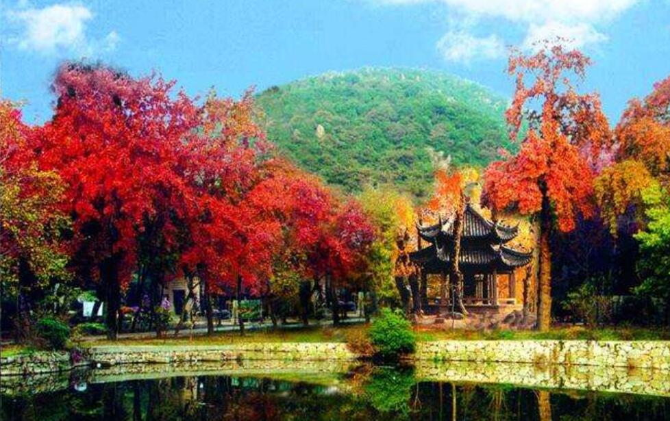 美丽的岳麓山作文400字写景