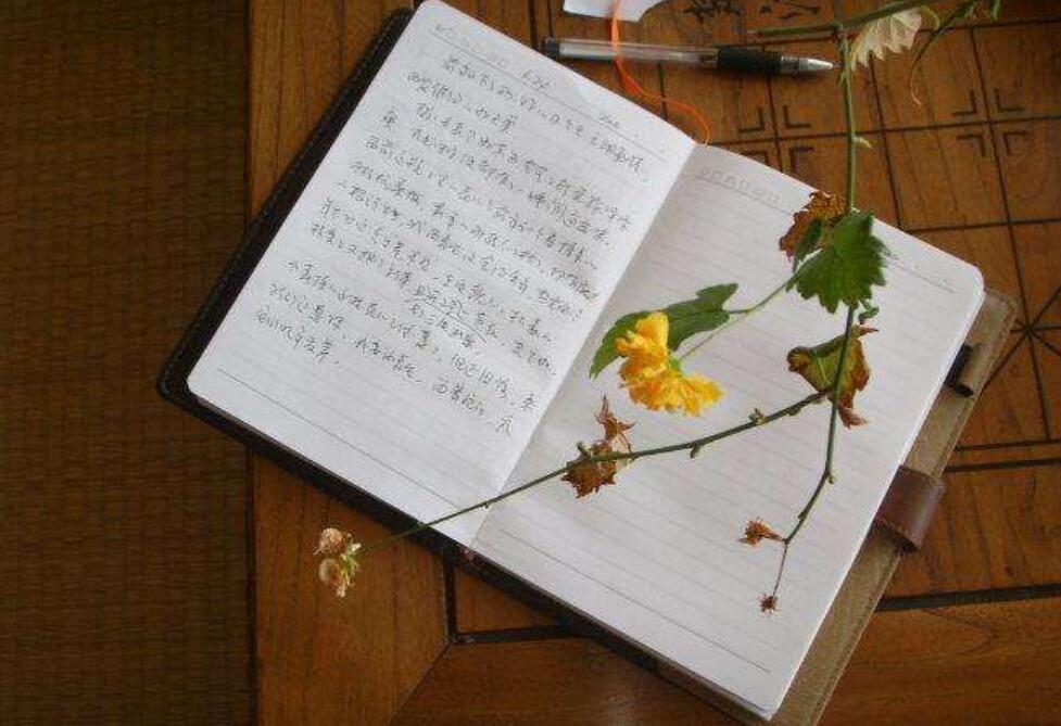 日记一则作文400字