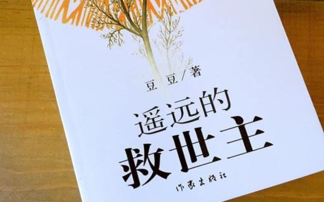 《遥远的救世主》读后感800字