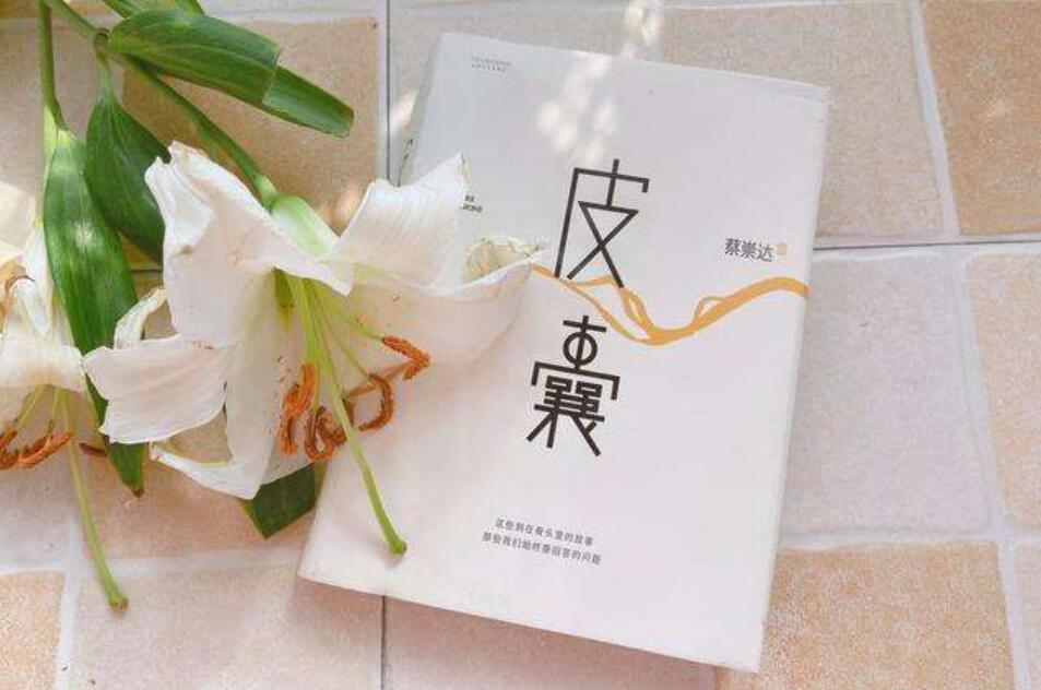 《皮囊》读后感1000字