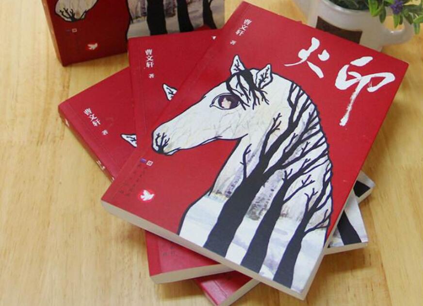 《火印》读后感1000字
