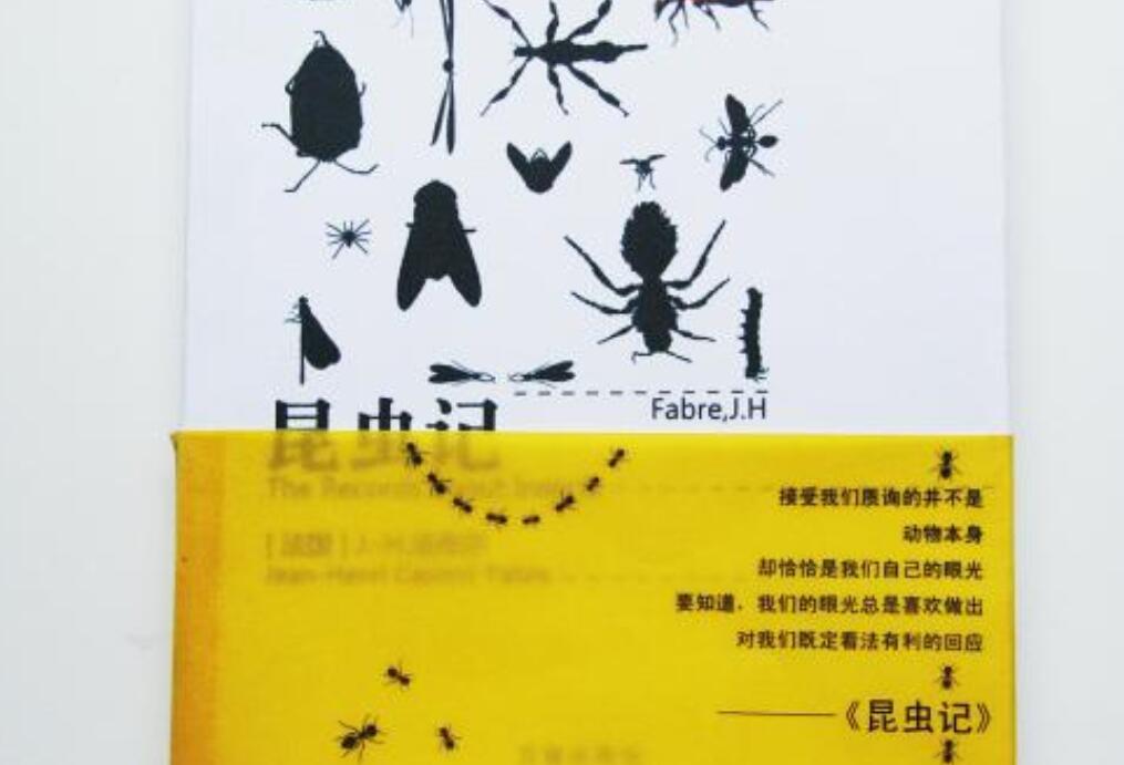 《昆虫记》读后感1000字