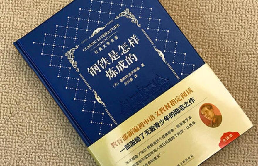 《钢铁是怎样炼成的》读后感600字