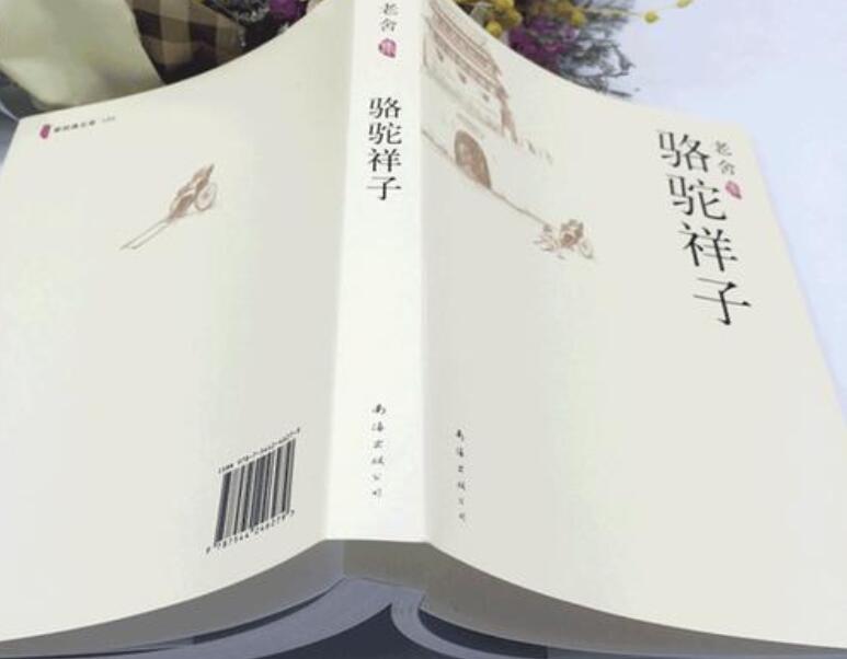 读《骆驼祥子》有感400字