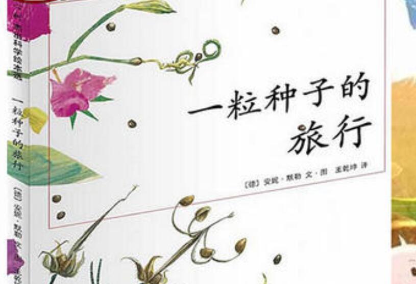 《一粒种子》读后感600字