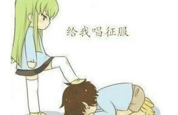 就这样被征服作文700字