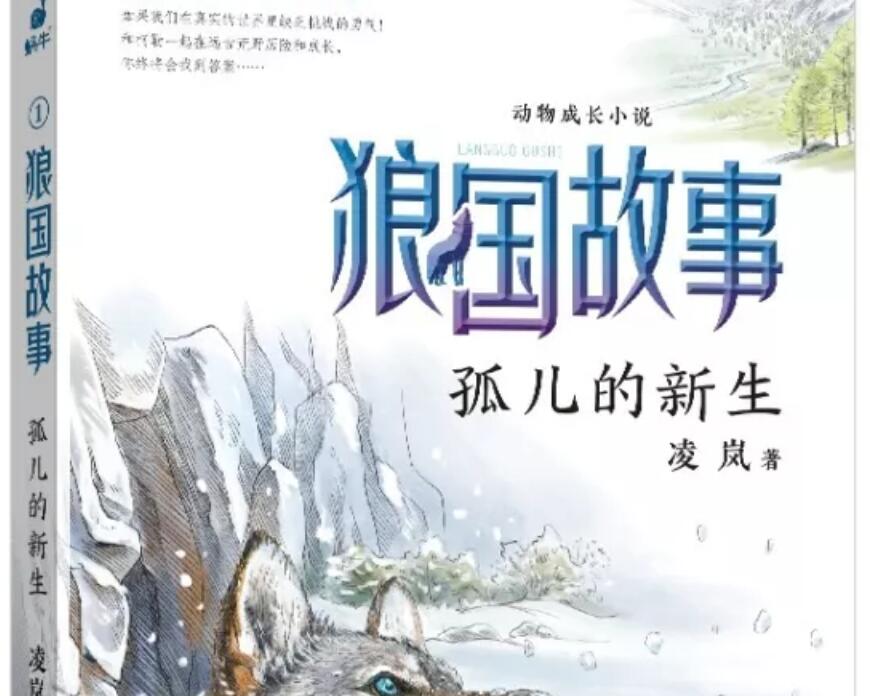 孤儿的新生狼国故事读后感600字