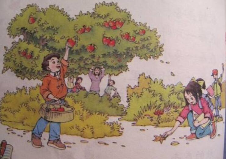 秋天来了作文450字