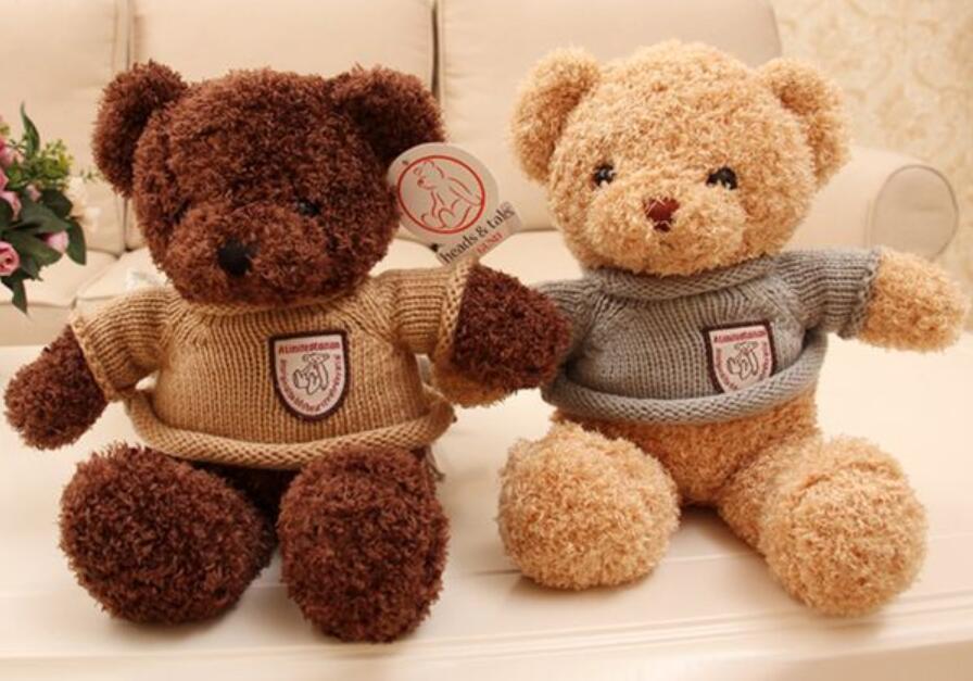 我的心爱之物作文500字五年级上册