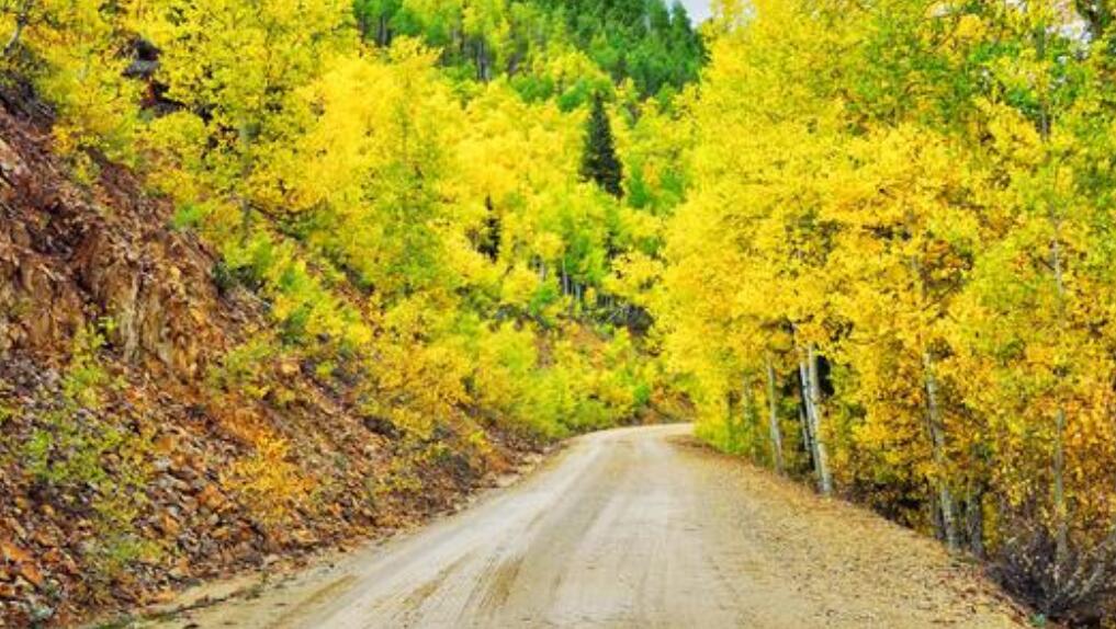 迷人的秋天作文500字