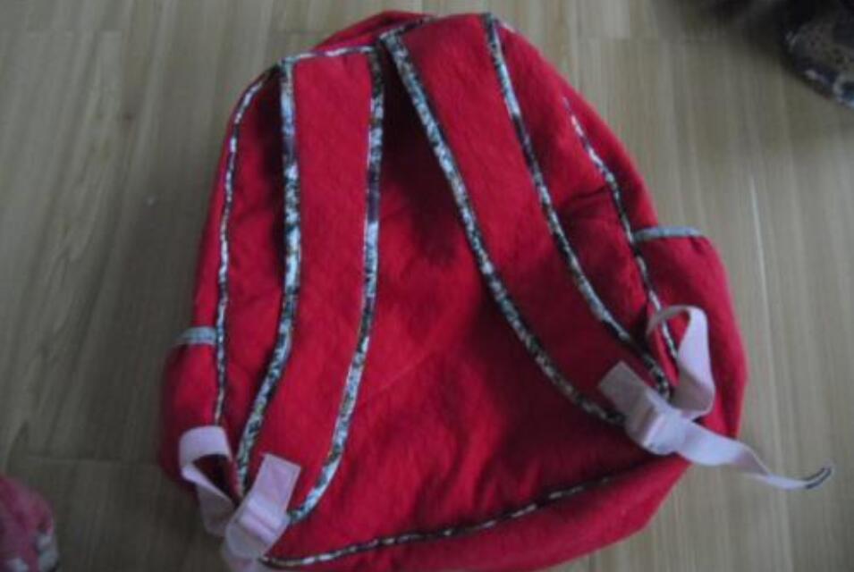 我的心爱之物作文700字五年级